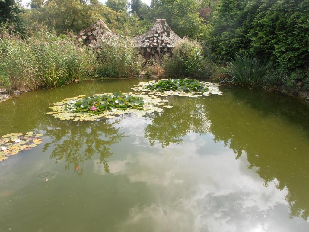 红色旅游公寓酒店 Dvůr Králové nad Labem 外观 照片